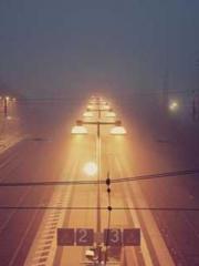 Super husband Lin Xi